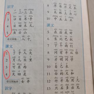 生字加拼音听写1