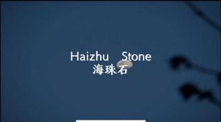 海珠石Haizhu Stone