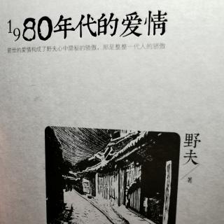 《1980 年代的爱情》（代跋）（完结）