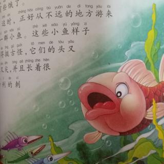 华研天骄幼儿园晚安故事《谁吃谁》