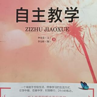 《自主教学》讲解总则