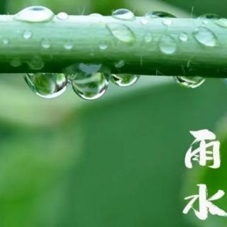 雨水.相遇（作者:道路）