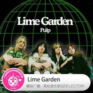 Lime Garden·糖蒜爱音乐之The Selector