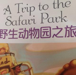 A trip to the Safari Park.