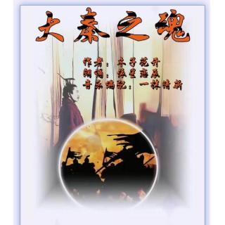 《大秦之魂》作者：木子花开