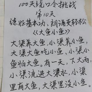 《大鱼小鱼》