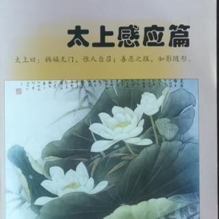 081伤胎破卵