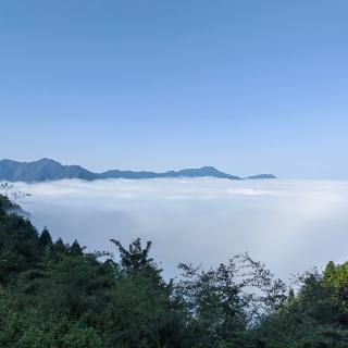 雨水，早安！