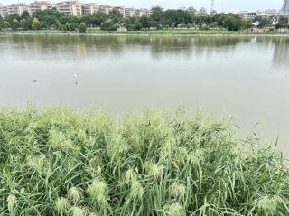 向春雨学习如何爱，让“爱”也有生命力