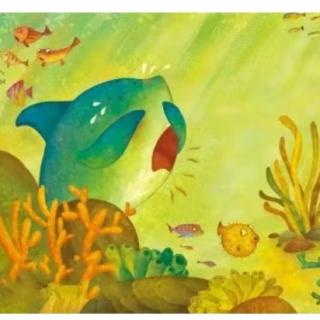 神奇的鲷鱼——科普绘本