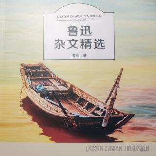 《流氓的变迁》