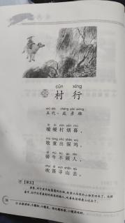 38.《村行》