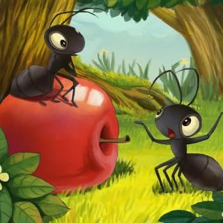 314.小蚂蚁旅行