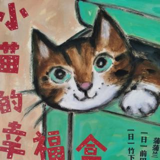 小猫的幸福盒子