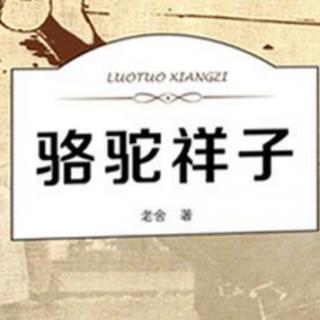 1/25《骆驼祥子》72-81页