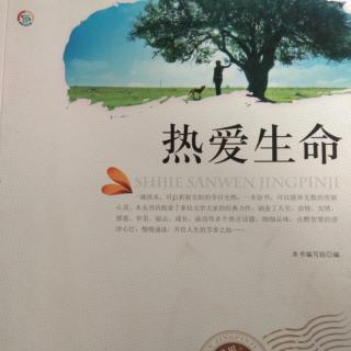 《诱惑》法国，夏多勃里昂