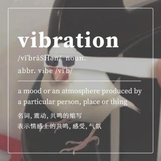 「VIBRATION」VOL.9 by Inblood成员、制作人、DJ T3