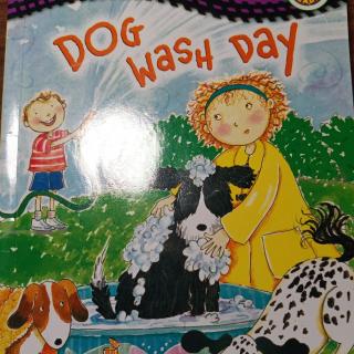 DOG WASH DAY