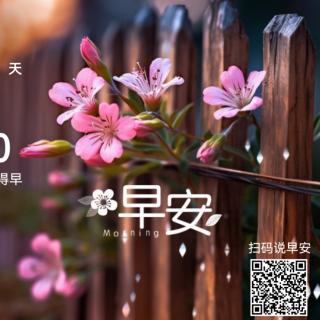 《心》第二章/第1小节