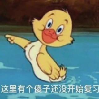 探索与发现