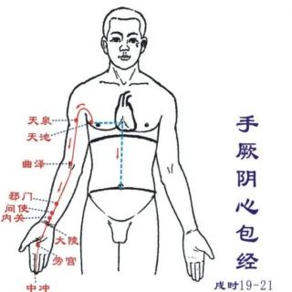 9.手厥阴心包经