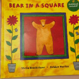 bear in a square