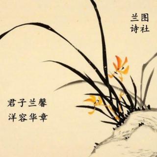 迎春花花好月圆徒步