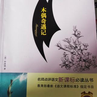 《木偶奇遇记》14