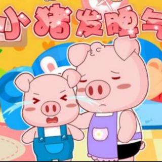 «小猪🐷发脾气»