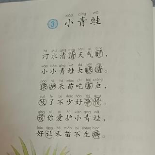 小青蛙