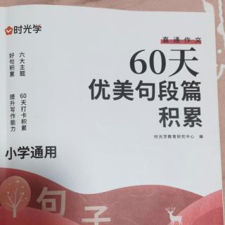 60天优美句段篇积累