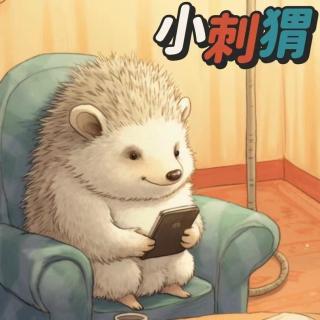 《爱看手机的小刺猬🦔》