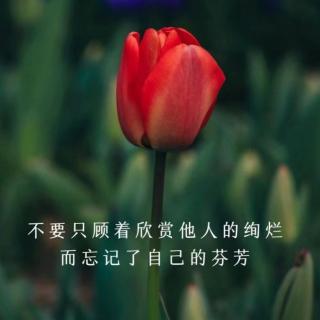 发现你内在的＂卓越地带＂