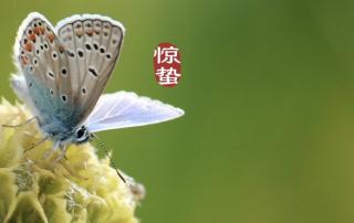 《惊蛰：春雷响·万物长》 作者：申赋渔 诵读：小龙女