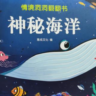 神秘海洋情境体验洞洞翻翻书