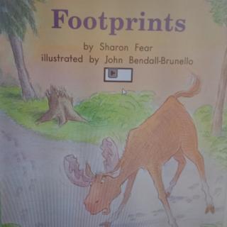 Footprints