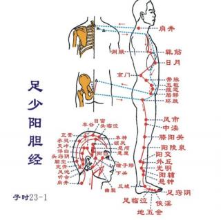 11.足少阳胆经