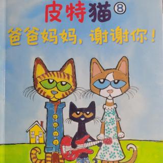 皮特猫  爸爸妈妈谢谢你