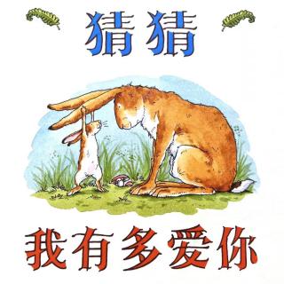 《猜猜我有多爱你》