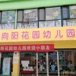 《金仓鼠怎样把食物带回家》