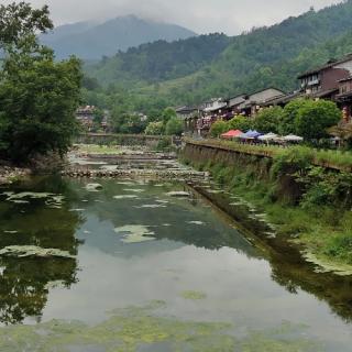 去大山里寻找生命里的诗歌  作者高会军