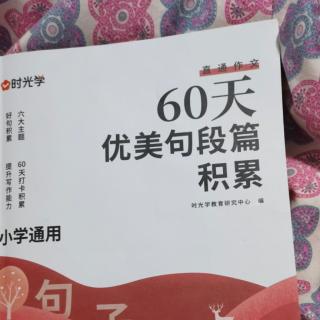 60天优美句段篇积累