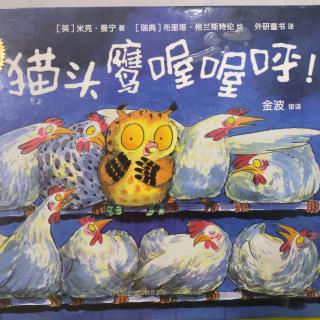 《猫头鹰喔喔呼》