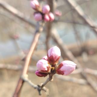 三八节赞女教师——郭志远