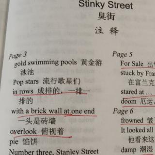 stinky street词汇