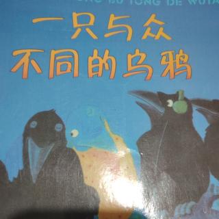 一只与众不同的乌鸦🐦‍⬛