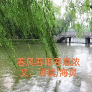 春风春雨春意浓   文、诵读/海灵