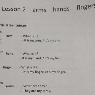 lesson 2 arms hands fingers