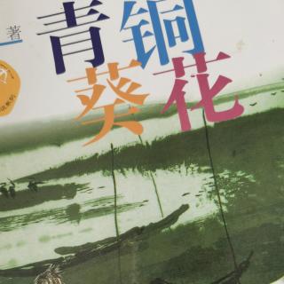 青铜葵花1小木船