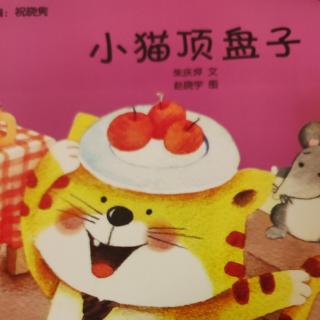 小猫顶盘子